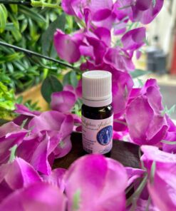 Eucalyptus globuleux - 10ml